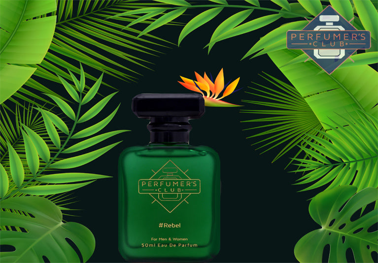 Why Is Woody Perfume Is Good For The Winter Season?